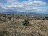 iara Scorciavacca-20110306 036
